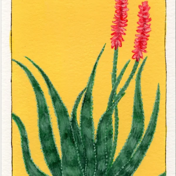 An art print of an Aloe Vera plant