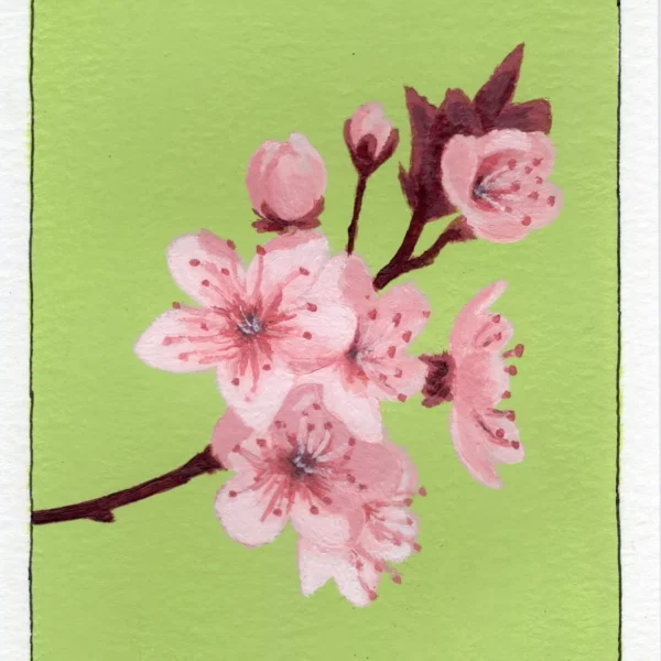 An art print of a Cherry Blossom