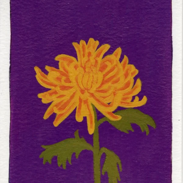 An art print of a Chrysanthemum