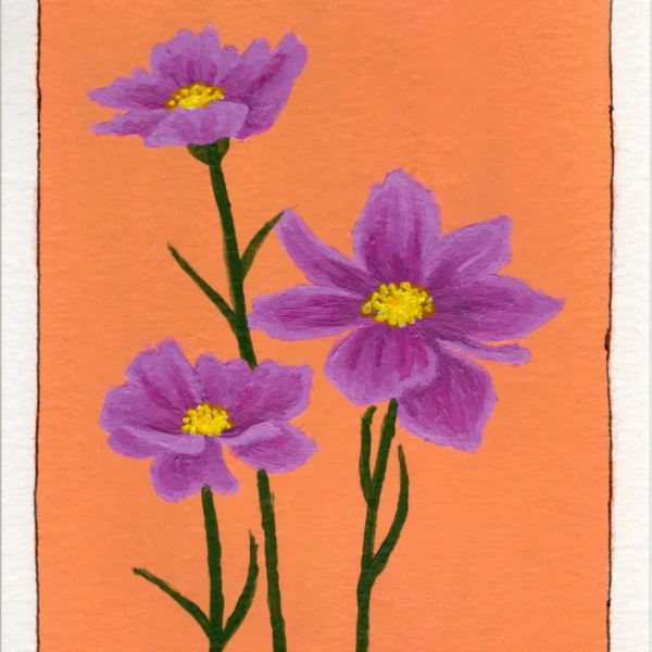 An art print of a Cosmos flower