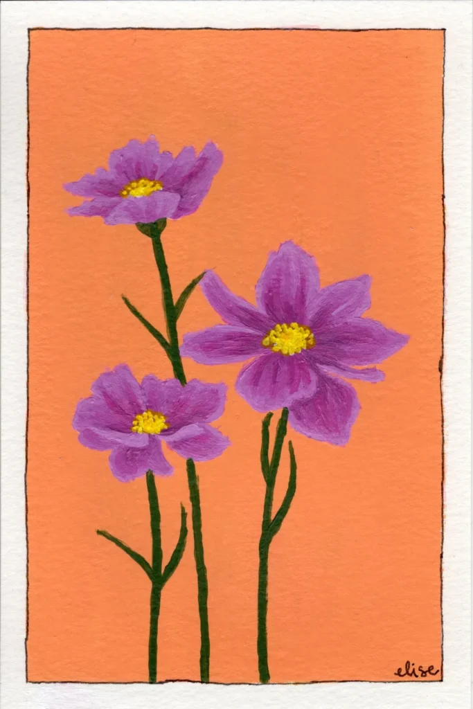 An original botanical art print of a Cosmos flower