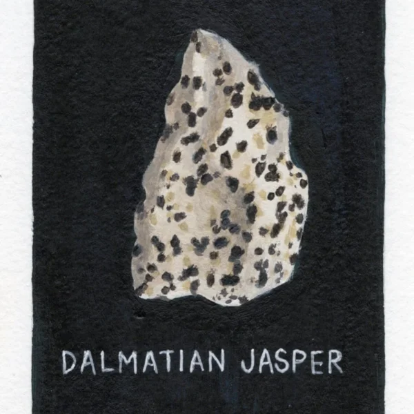 An art print of Dalmation Jasper
