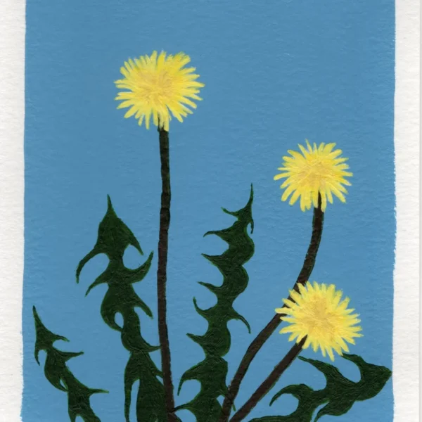 An art print of a Dandelion