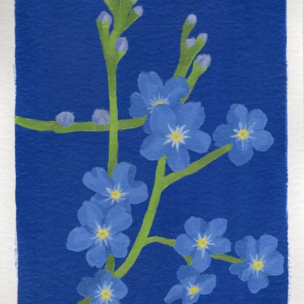 An art print of a Forget Me Not