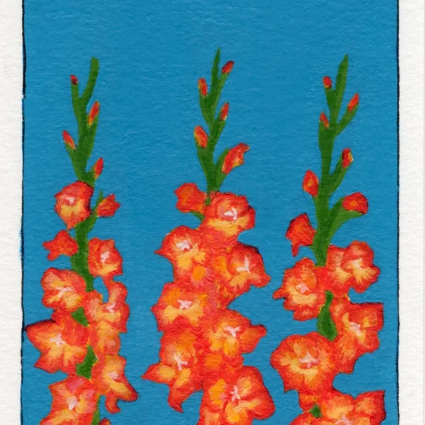 An art print of a Gladiolus