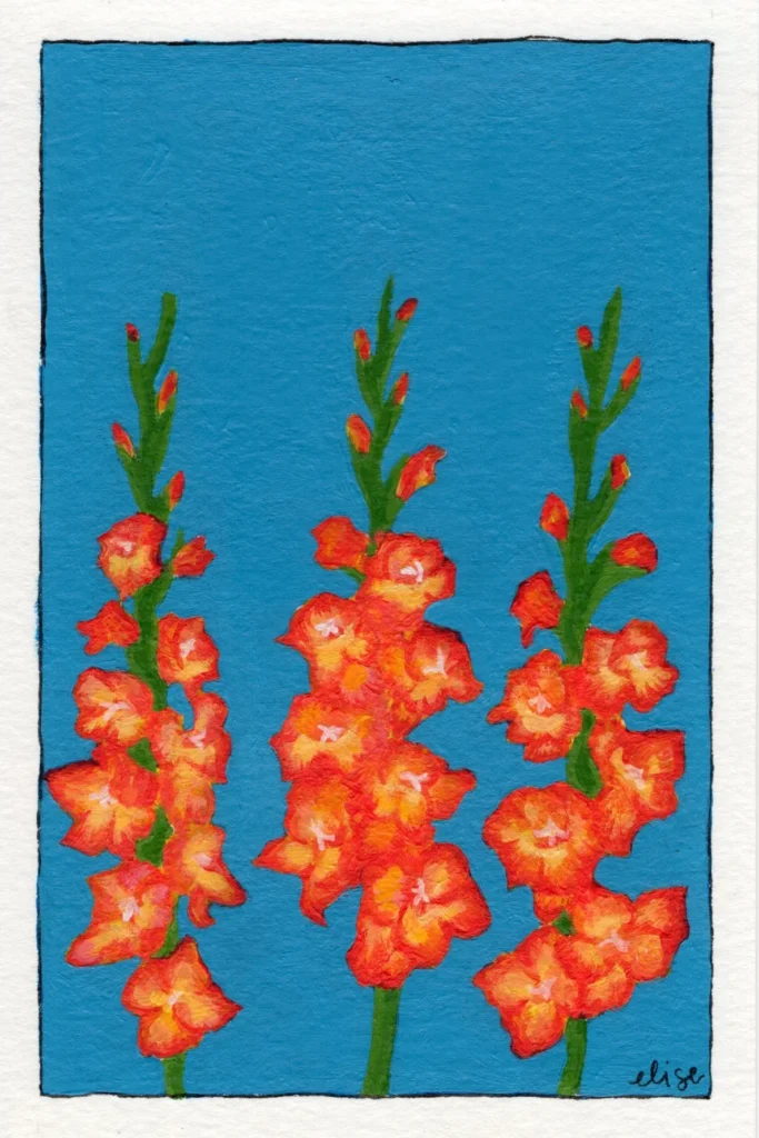 An original botanical art print of a Gladiolus