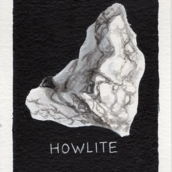 An art print of Howlite
