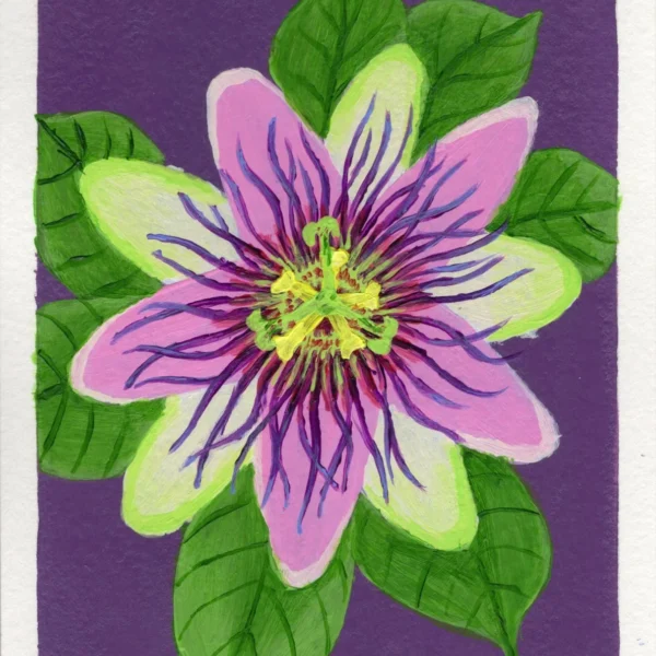 An art print of a Passion Flower