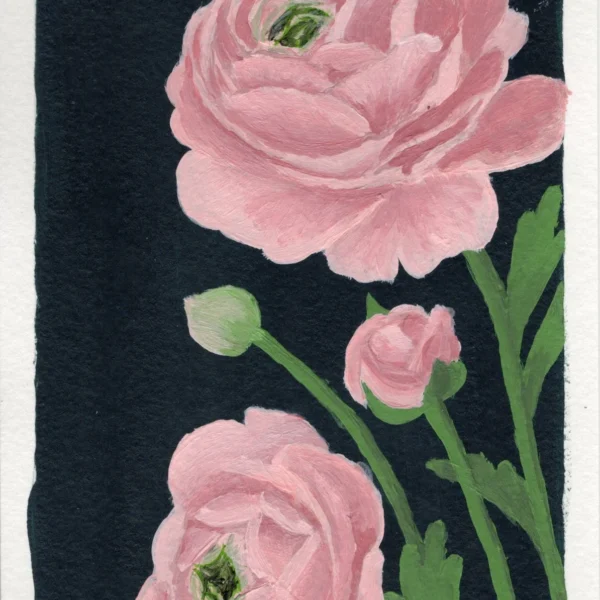 An art print of a Ranunculus