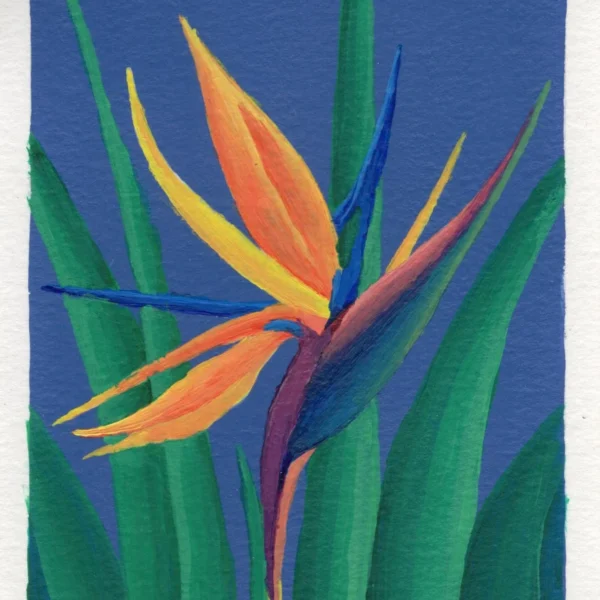 An art print of a Bird of Paradise flower