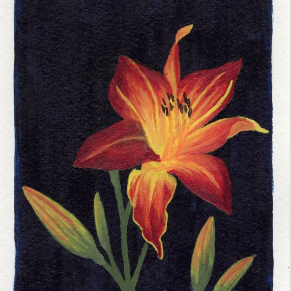 An art print of a Daylily