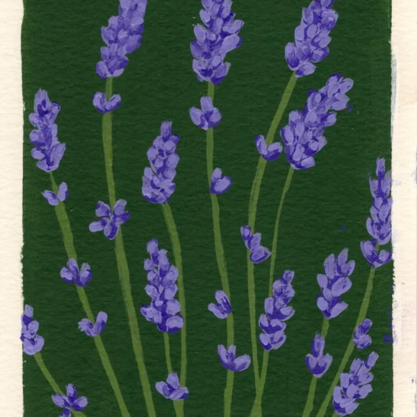 An art print of a lavender flower
