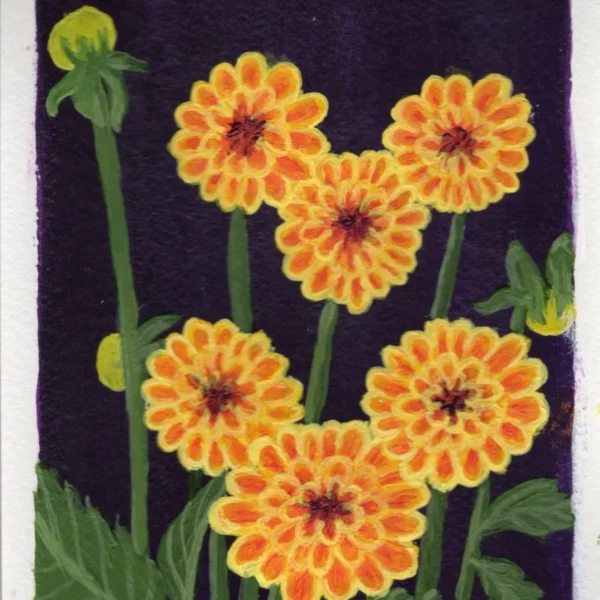 An art print of a Dahlia flower