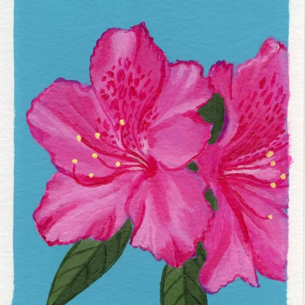 An art print of an Azalea flower