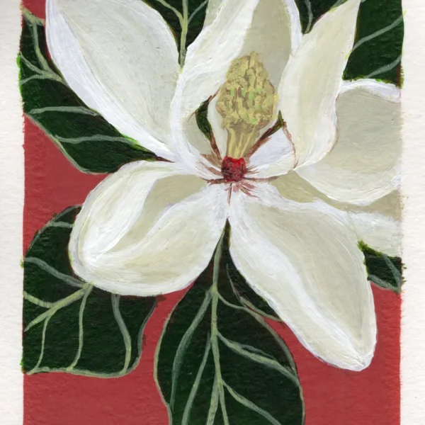 An art print of a Magnolia flower