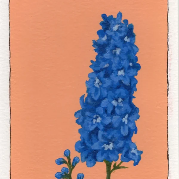 An art print of a Larkspur flower