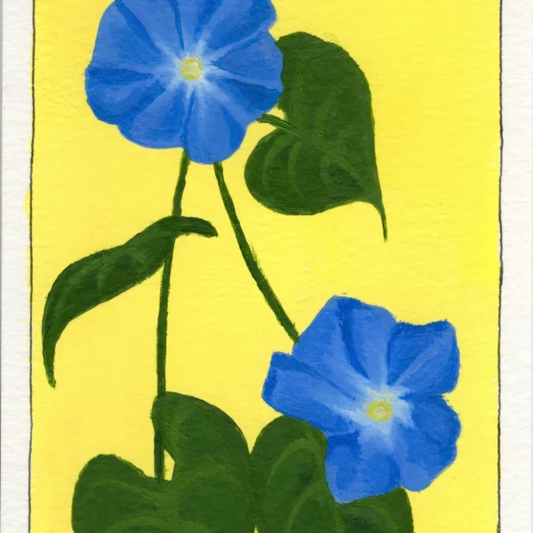 An art print of a Morning Glory