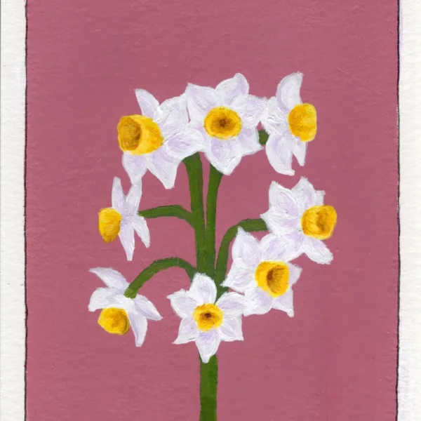 An art print of a Narcissus flower