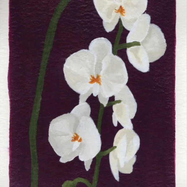 An art print of an Orchid