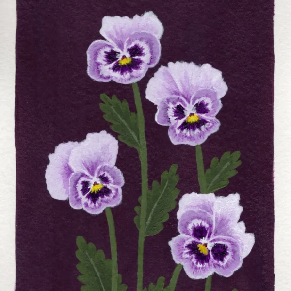 An art print of a Pansy flower