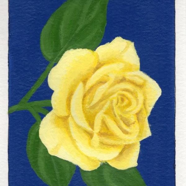 An art print of a Yellow rose