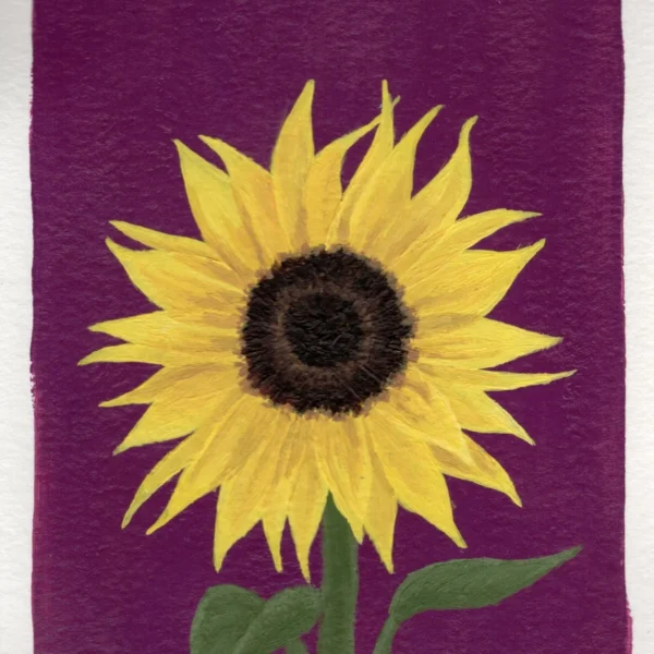 An art print of a Sunflower