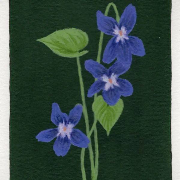 An art print of a Violet