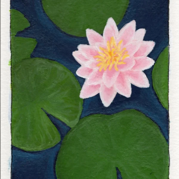 An art print of a Water Lily