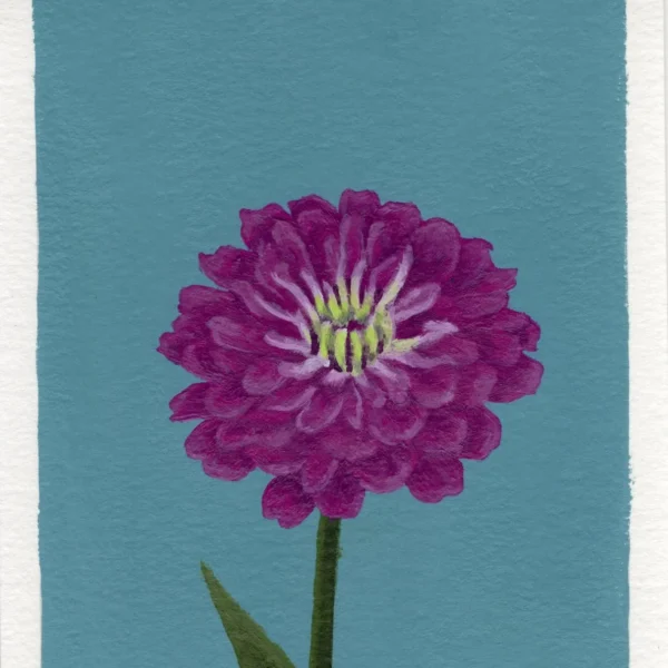 An art print of a Zinnia