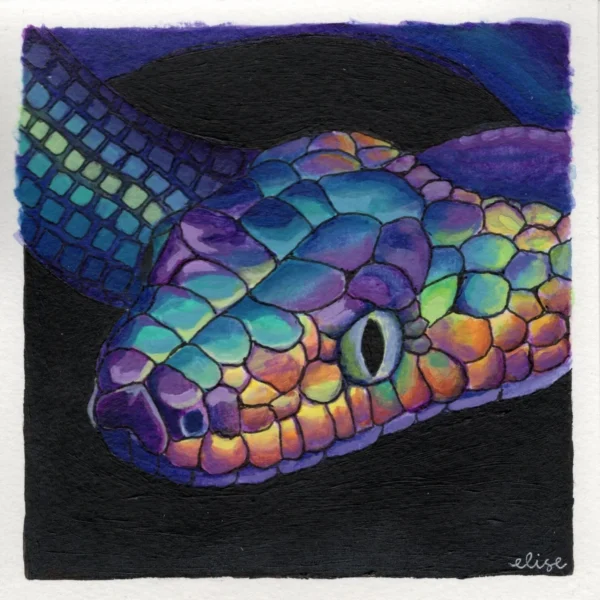 An original art print of a multi-colored snake