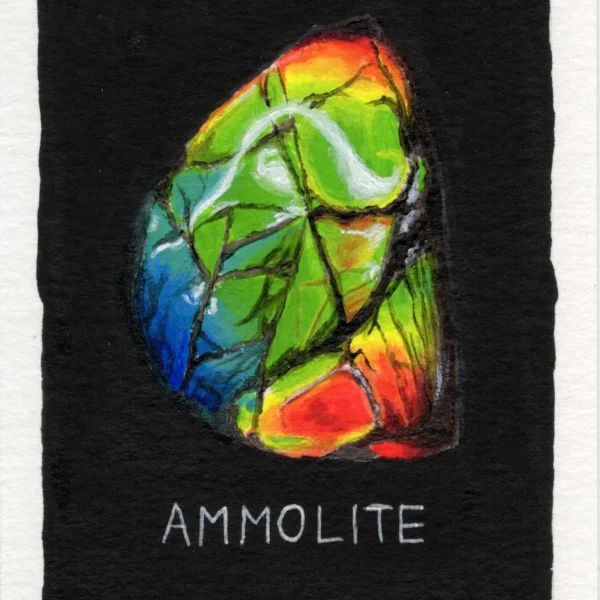 An original art print of Ammolite